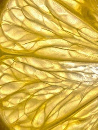 Derivado de vitamina C